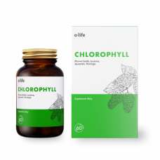 Chlorofil Chlorophyll 